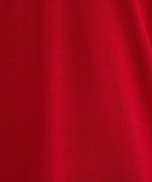 INDIVI（インディヴィ）の「【洗える／毛玉になりにくい】エクストラファインウール Vネックニット（ニット/セーター・レディース・オフホワイト/ブラック/レッド系1/サックスブルー/チャコール・05/13/15 /34/38/19）」の21枚目の写真