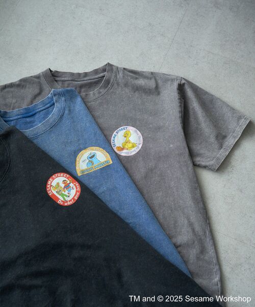 SESAME STREET(セサミストリート)の「クッキーモンスター/T(Tシャツ/カットソー・レディース・ブルー・FREE)」の13枚目の写真