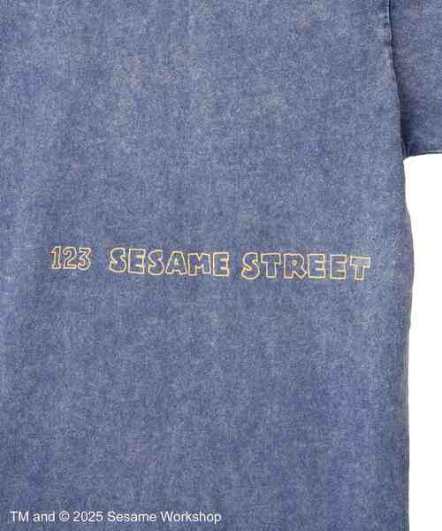 SESAME STREET(セサミストリート)の「クッキーモンスター/T(Tシャツ/カットソー・レディース・ブルー・FREE)」の3枚目の写真