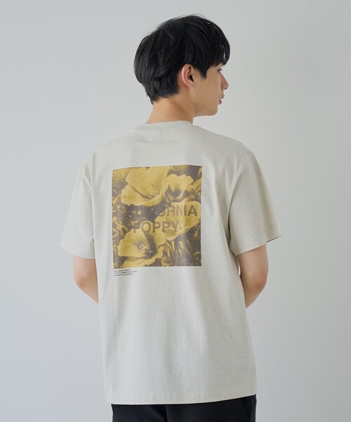 coen（コーエン）の「フォトグラフィックTシャツ（Tシャツ/カットソー・メンズ・ライトグレー/その他1/ライトブルー・L/M/S/XL）」の8枚目の写真