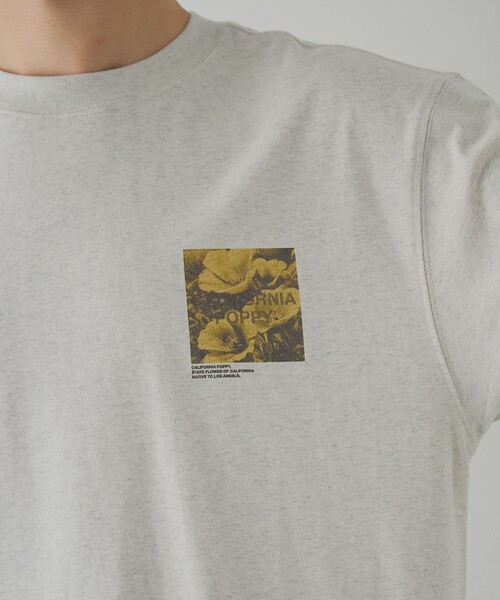coen（コーエン）の「フォトグラフィックTシャツ（Tシャツ/カットソー・メンズ・ライトグレー/その他1/ライトブルー・L/M/S/XL）」の9枚目の写真