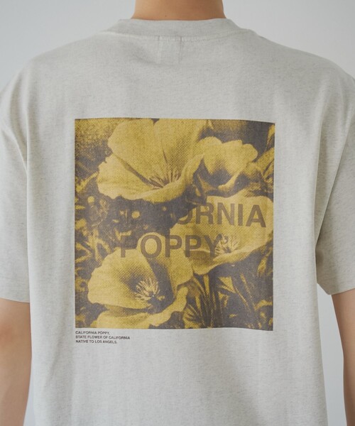 coen（コーエン）の「フォトグラフィックTシャツ（Tシャツ/カットソー・メンズ・ライトグレー/その他1/ライトブルー・L/M/S/XL）」の10枚目の写真