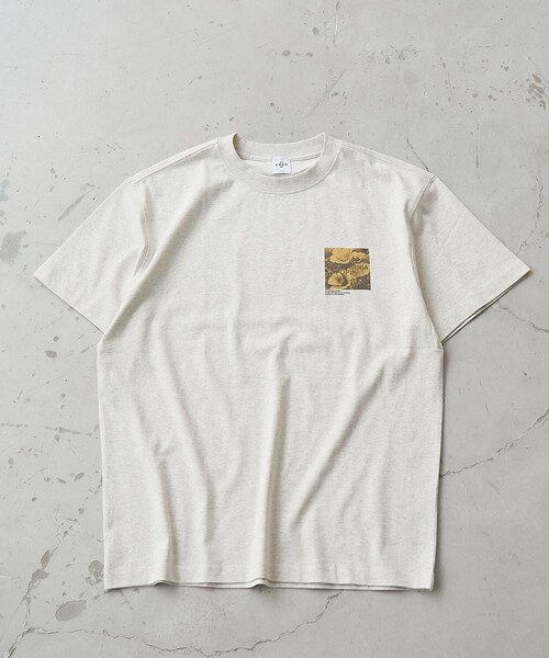 coen（コーエン）の「フォトグラフィックTシャツ（Tシャツ/カットソー・メンズ・ライトグレー/その他1/ライトブルー・L/M/S/XL）」の11枚目の写真
