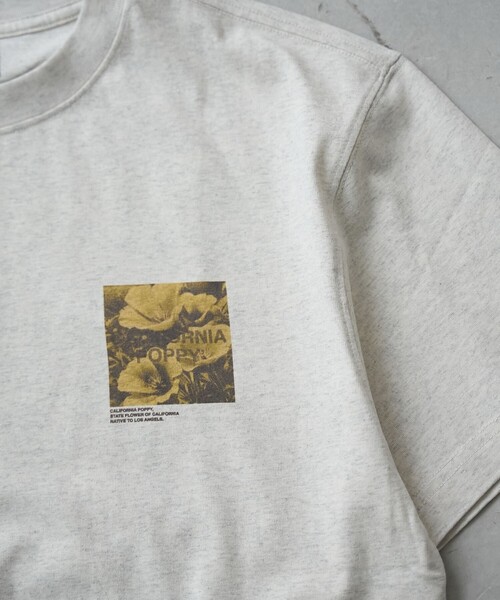 coen（コーエン）の「フォトグラフィックTシャツ（Tシャツ/カットソー・メンズ・ライトグレー/その他1/ライトブルー・L/M/S/XL）」の12枚目の写真