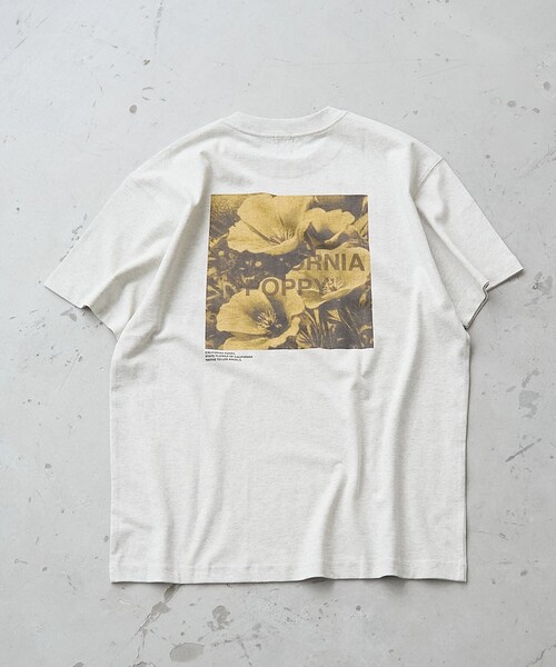coen（コーエン）の「フォトグラフィックTシャツ（Tシャツ/カットソー・メンズ・ライトグレー/その他1/ライトブルー・L/M/S/XL）」の13枚目の写真
