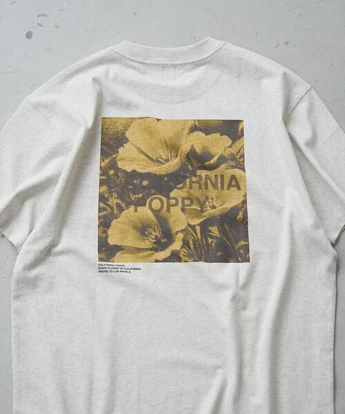 coen（コーエン）の「フォトグラフィックTシャツ（Tシャツ/カットソー・メンズ・ライトグレー/その他1/ライトブルー・L/M/S/XL）」の14枚目の写真