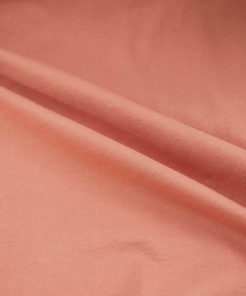 ROPE' PICNIC（ロペピクニック）の「【ラク美Tee】【TRUE COTTON】モックネックフレンチトップス（Tシャツ/カットソー・レディース・ベージュ/オフホワイト/グリーン系その他2/スミクロ/レンガ・38）」の17枚目の写真