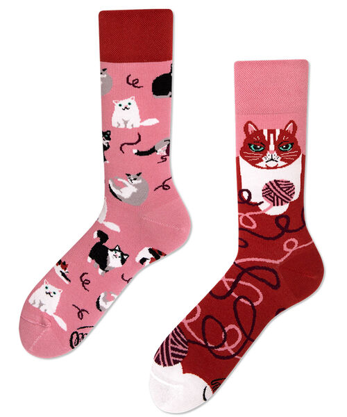 Web限定 Many Mornings メニーモーニングス Regular Socks Playful Cat ソックス 靴下 Many Mornings メニーモーニングス のファッション通販 Zozotown