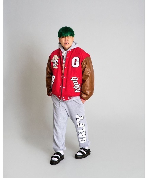 品美品GALFY 中型犬 わんわん大学 1996年　スタジャン L 男女兼用 GALFY（ガルフィー）の「【GALFY】わんわん大学JKT（スタジャン