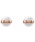 Daniel Wellington�i�_�j�G���E�F�����g���j�́uASPIRATION EARRINGS�i�s�A�X�i�����p�j�j�v�b�z���C�g