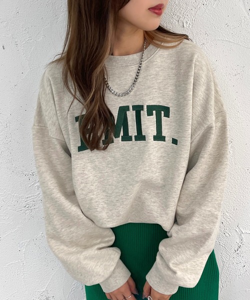 apres jour mignon(アプレジュールミニョン)の「アソート刺繍ヘビーウェイトスウェット【ZOZOTOWN限定アイテム】(Tシャツ/カットソー・レディース・ダークグリーン/アイボリー/ブルー/ベージュ系その他/ナチュラル/ブラック・X-LARGE/フリー)」の18枚目の写真