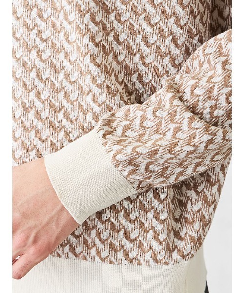 ハイゲージ コットン クルーネック 柄ニット ベージュ（ニット