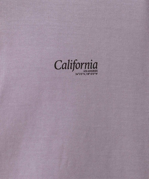 BAYFLOW(ベイフロー)の「ピグメントハーフZIP半袖プルオーバー(Tシャツ/カットソー・メンズ・パープル/チャコール/ベージュ・MEDIUM/LARGE)」の9枚目の写真