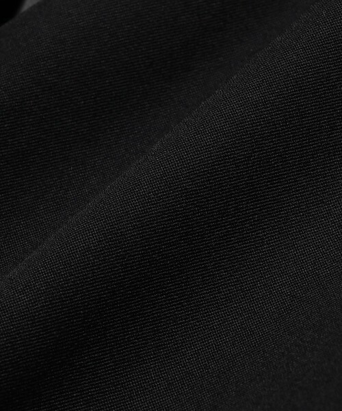 Demi-Luxe BEAMS(デミルクス ビームス)の「【1/9再値下げ】ツイル Vあき プルオーバー ベスト(ベスト・レディース・ベージュ/ブラック・36/38)」の21枚目の写真