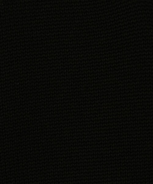 TOMORROWLAND (トゥモローランド)の「TOMORROWLAND tricot ウール スタンドカラーニットカーディガン(カーディガン/ボレロ・メンズ・ブラック/ネイビー/グレー/グレイッシュベージュ・S/M/L)」の16枚目の写真