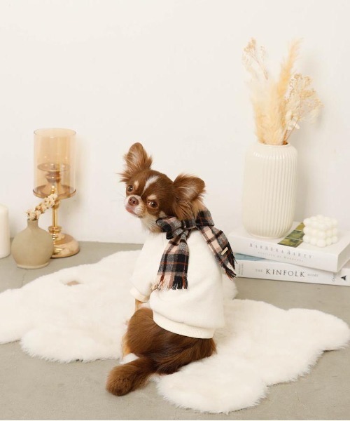 moncheri（モンシェリ）の「チェック柄マフラー付きプルオーバー【通すだけでリボン完成・ボタンで取り外し可能】（ペットウェア・レディース・ベージュ/アイボリー・S/M/L/XL）」の6枚目の写真