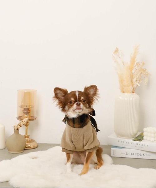 moncheri（モンシェリ）の「チェック柄マフラー付きプルオーバー【通すだけでリボン完成・ボタンで取り外し可能】（ペットウェア・レディース・ベージュ/アイボリー・S/M/L/XL）」の8枚目の写真