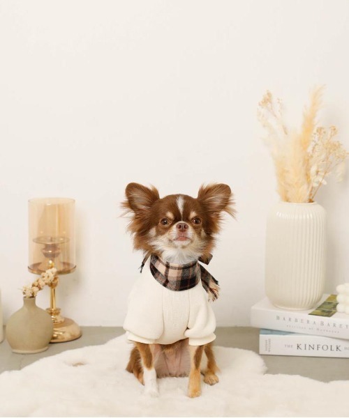 moncheri（モンシェリ）の「チェック柄マフラー付きプルオーバー【通すだけでリボン完成・ボタンで取り外し可能】（ペットウェア・レディース・ベージュ/アイボリー・S/M/L/XL）」の9枚目の写真