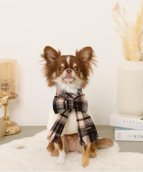 moncheri（モンシェリ）の「チェック柄マフラー付きプルオーバー【通すだけでリボン完成・ボタンで取り外し可能】（ペットウェア・レディース・ベージュ/アイボリー・S/M/L/XL）」の10枚目の写真