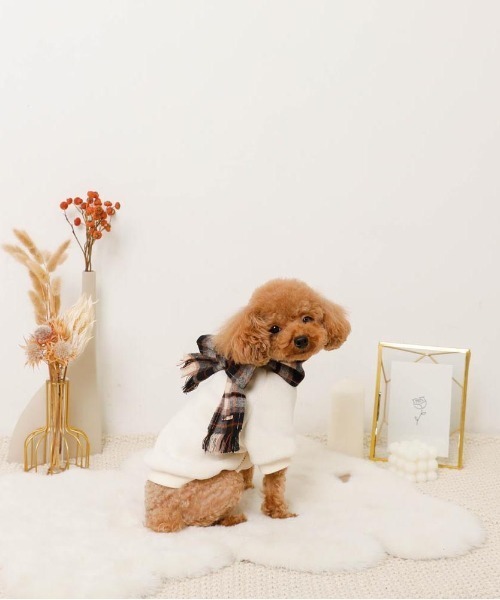 moncheri（モンシェリ）の「チェック柄マフラー付きプルオーバー【通すだけでリボン完成・ボタンで取り外し可能】（ペットウェア・レディース・ベージュ/アイボリー・S/M/L/XL）」の11枚目の写真