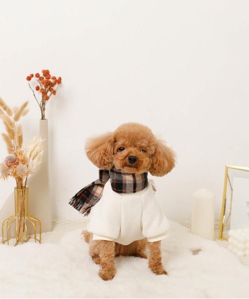 moncheri（モンシェリ）の「チェック柄マフラー付きプルオーバー【通すだけでリボン完成・ボタンで取り外し可能】（ペットウェア・レディース・ベージュ/アイボリー・S/M/L/XL）」の12枚目の写真