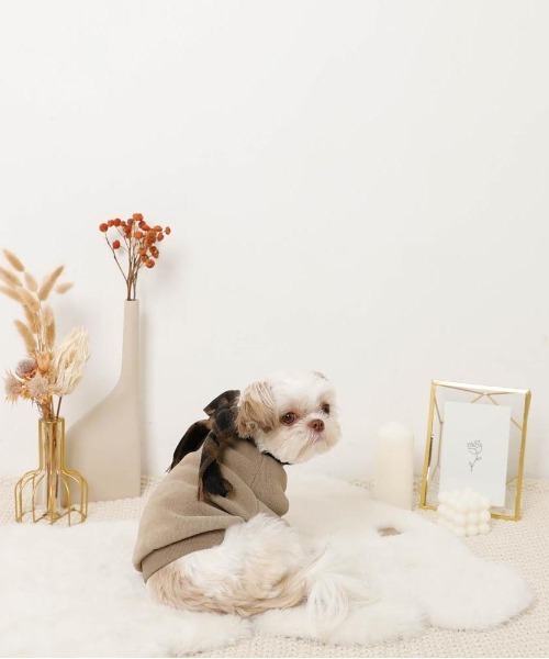 moncheri（モンシェリ）の「チェック柄マフラー付きプルオーバー【通すだけでリボン完成・ボタンで取り外し可能】（ペットウェア・レディース・ベージュ/アイボリー・S/M/L/XL）」の15枚目の写真