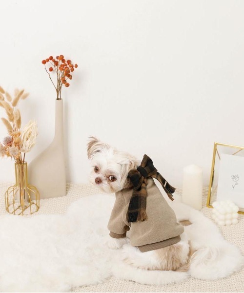 moncheri（モンシェリ）の「チェック柄マフラー付きプルオーバー【通すだけでリボン完成・ボタンで取り外し可能】（ペットウェア・レディース・ベージュ/アイボリー・S/M/L/XL）」の16枚目の写真