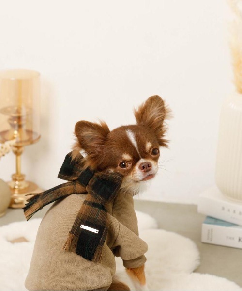 moncheri（モンシェリ）の「チェック柄マフラー付きプルオーバー【通すだけでリボン完成・ボタンで取り外し可能】（ペットウェア・レディース・ベージュ/アイボリー・S/M/L/XL）」の4枚目の写真