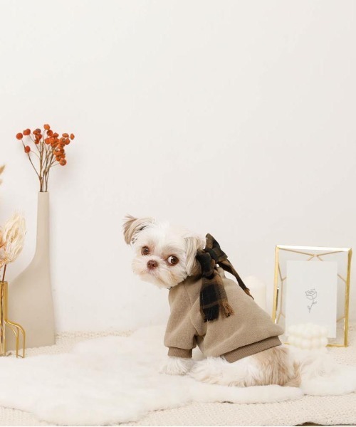 moncheri（モンシェリ）の「チェック柄マフラー付きプルオーバー【通すだけでリボン完成・ボタンで取り外し可能】（ペットウェア・レディース・ベージュ/アイボリー・S/M/L/XL）」の17枚目の写真