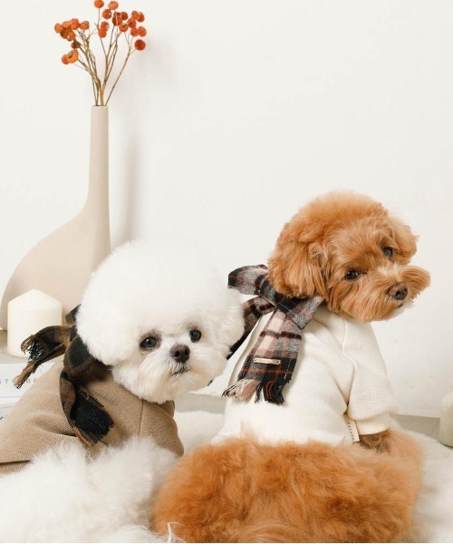 moncheri（モンシェリ）の「チェック柄マフラー付きプルオーバー【通すだけでリボン完成・ボタンで取り外し可能】（ペットウェア・レディース・ベージュ/アイボリー・S/M/L/XL）」の18枚目の写真