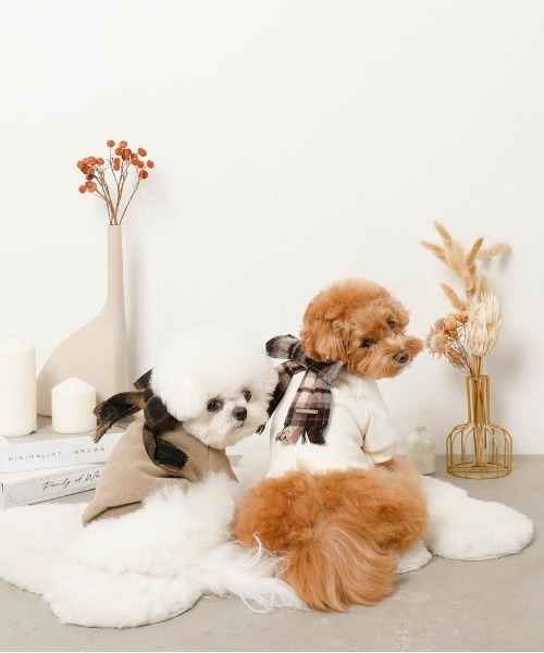 moncheri（モンシェリ）の「チェック柄マフラー付きプルオーバー【通すだけでリボン完成・ボタンで取り外し可能】（ペットウェア・レディース・ベージュ/アイボリー・S/M/L/XL）」の19枚目の写真