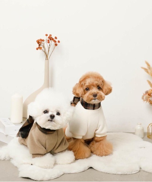 moncheri（モンシェリ）の「チェック柄マフラー付きプルオーバー【通すだけでリボン完成・ボタンで取り外し可能】（ペットウェア・レディース・ベージュ/アイボリー・S/M/L/XL）」の20枚目の写真