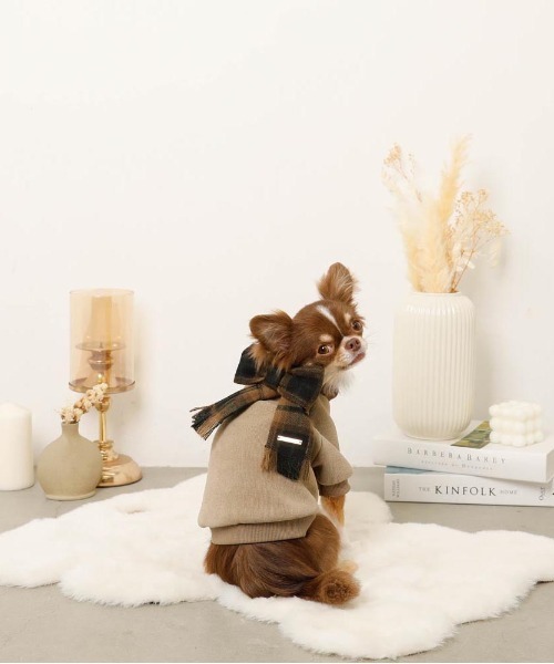 moncheri（モンシェリ）の「チェック柄マフラー付きプルオーバー【通すだけでリボン完成・ボタンで取り外し可能】（ペットウェア・レディース・ベージュ/アイボリー・S/M/L/XL）」の5枚目の写真