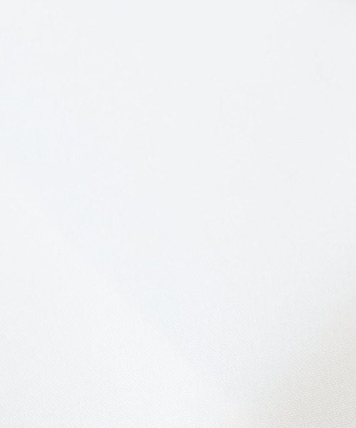 ASTORIA ODIER（アストリアオディール）の「リボンタイシャツブラウス（シャツ/ブラウス・レディース・ミント/ホワイト/ブルー・MEDIUM）」の5枚目の写真