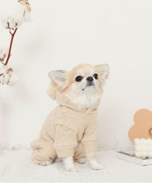 moncheri（モンシェリ）の「ウール混ケーブルニット耳付きロンパース / 犬服 / ドッグウェア（ペットウェア・レディース・ベージュ/アイボリー・S/M/L/XL/XS）」の5枚目の写真