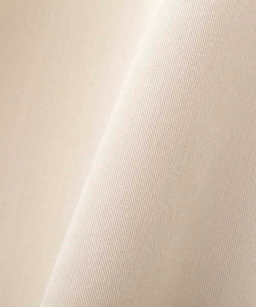 PROPORTION BODY DRESSING（プロポーションボディドレッシング）の「ベーシックテロンチ / 1213152101（ステンカラーコート・レディース・グレー/ベージュ/ライトグリーン・MEDIUM/SMALL）」の21枚目の写真