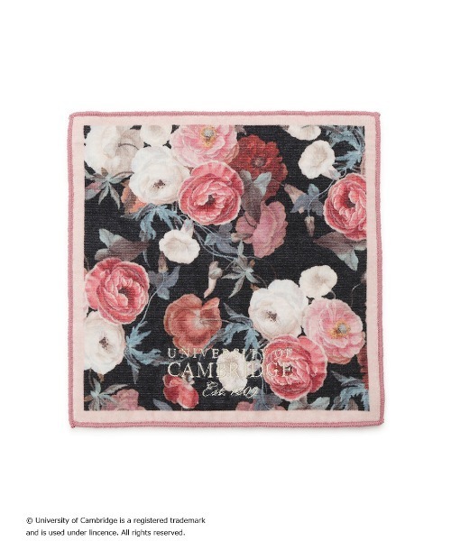 SNIDEL HOME（スナイデルホーム）の「【University of Cambridge】ハンドタオル（タオル・レディース・ライトベージュ/その他/ライトブルー・FREE）」の3枚目の写真