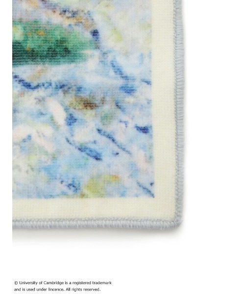 SNIDEL HOME（スナイデルホーム）の「【University of Cambridge】ハンドタオル（タオル・レディース・ライトベージュ/その他/ライトブルー・FREE）」の6枚目の写真