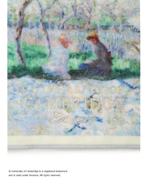 SNIDEL HOME（スナイデルホーム）の「【University of Cambridge】ハンドタオル（タオル・レディース・ライトベージュ/その他/ライトブルー・FREE）」の7枚目の写真