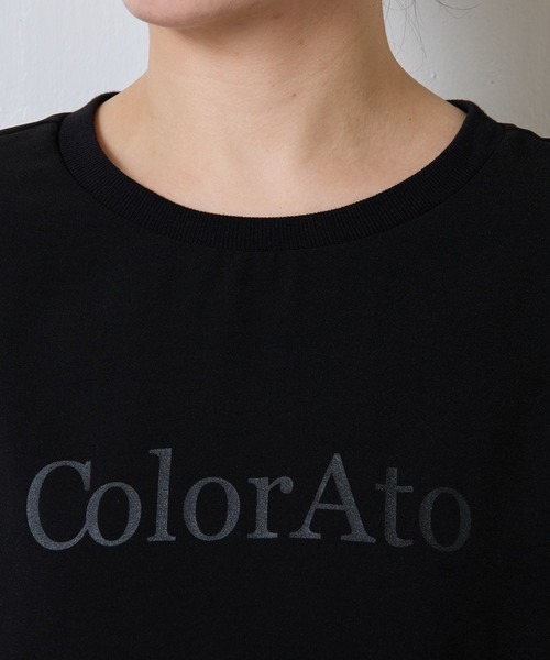 セール】裾シアーロゴハーフスリーブTシャツ（Tシャツ