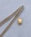 utatane�i�E�^�^�l�j�́u�ђ��߁{�ї��� �j�R�A���e�B�[�N �S�[���h �Ђ���Ƃ� �ϖ� �V�� ���{���i�a�������j�v�b���̑�2