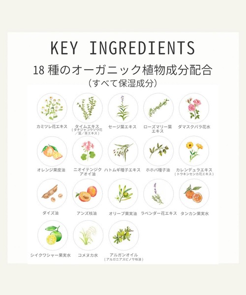 ハウス オブ ローゼ（ハウス オブ ローゼ）の「ママバター マイン クレンジングミルク　150mL（クレンジング・レディース・その他・FREE）」の9枚目の写真