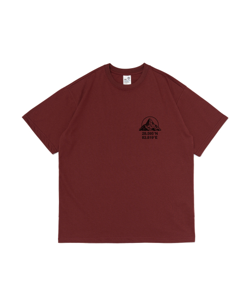 WORKS & CO.(ワークス アンド コー)の「ANNA マウンテン オーバーサイズ 半袖Tシャツ (ワイン)(Tシャツ/カットソー・レディース・その他・FREE)」の1枚目の写真