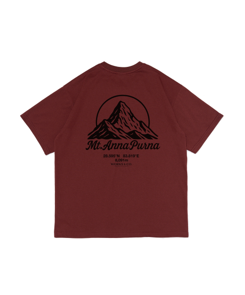WORKS & CO.(ワークス アンド コー)の「ANNA マウンテン オーバーサイズ 半袖Tシャツ (ワイン)(Tシャツ/カットソー・レディース・その他・FREE)」の2枚目の写真