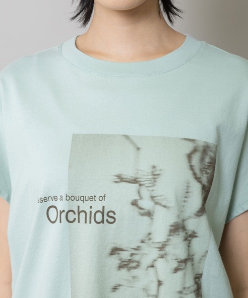 Munich(ミューニック)の「フラワーフォトプリントTシャツ(Tシャツ/カットソー・レディース・ミント/ダークベージュ/ホワイト・FREE)」の10枚目の写真