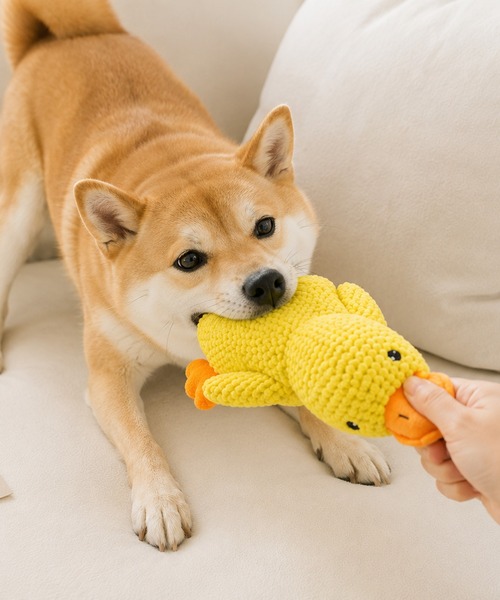 NOLITA LABORATORY(ノリータラボラトリー)の「【 NOLITA / ノリータ 】アヒル ドッグトイ Sサイズ / 音が鳴る 犬用おもちゃ ピコピコ ぬいぐるみトイ ペット玩具 小型犬 中型犬(ペット用おもちゃ・レディース・イエロー・FREE)」の6枚目の写真