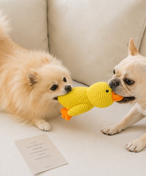 NOLITA LABORATORY(ノリータラボラトリー)の「【 NOLITA / ノリータ 】アヒル ドッグトイ Sサイズ / 音が鳴る 犬用おもちゃ ピコピコ ぬいぐるみトイ ペット玩具 小型犬 中型犬(ペット用おもちゃ・レディース・イエロー・FREE)」の7枚目の写真