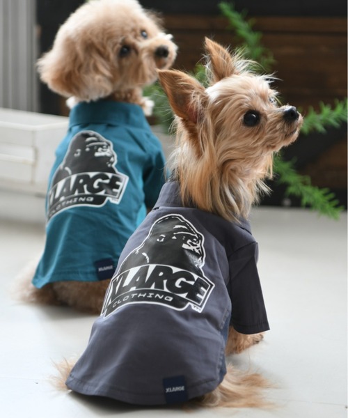 XLARGE（エクストララージ）の「XLARGE/オージーダックコーチシャツ（ペットウェア・メンズ・グレー/グリーン・2L/3L/S/M/L/XS）」の3枚目の写真