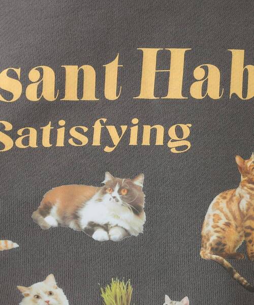 Cutie Blonde(キューティーブロンド)の「【洗える/S-LL】選べる6柄 ドルマンスウェット(スウェット・レディース・グレー系/ネイビー系/ライトグレー系1/チャコールグレー/チャコール/ホワイト系4・01/02/03/04)」の22枚目の写真