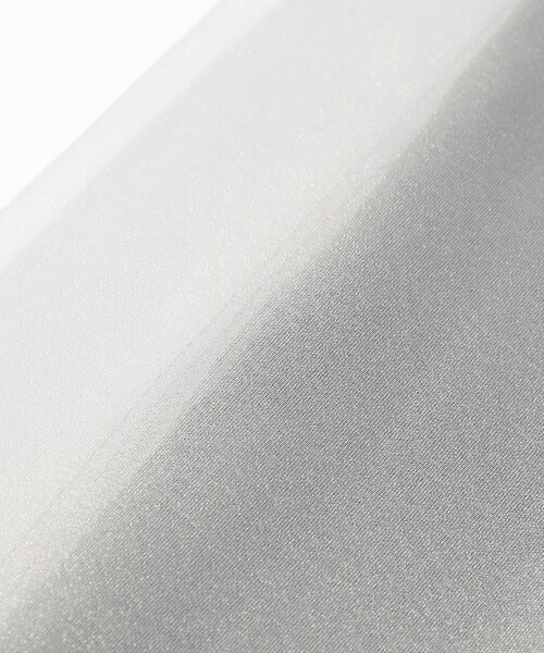 Ray BEAMS(レイビームス)の「シアー レイヤード ワイド パンツ(その他パンツ・レディース・ブラック/ライトグレー・0/1)」の22枚目の写真